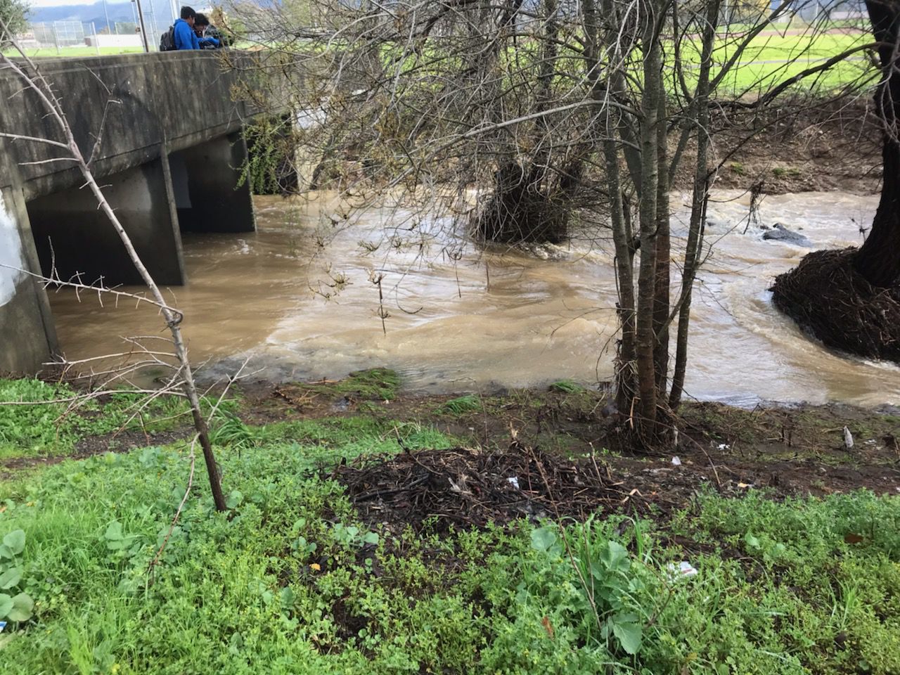 February rains